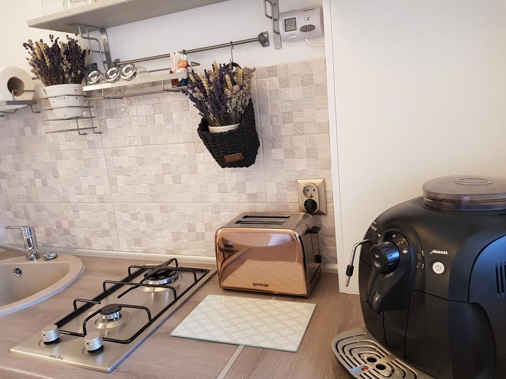 Alfa Studio Sibiu Eksteriør billede